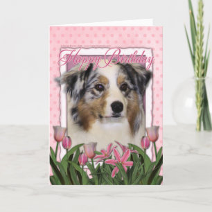 Happy Birthday - Pink Tulips - Australian Shepherd Kaart
