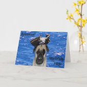 Happy Birthday Pirate Pug Kaart (Gele Bloem)