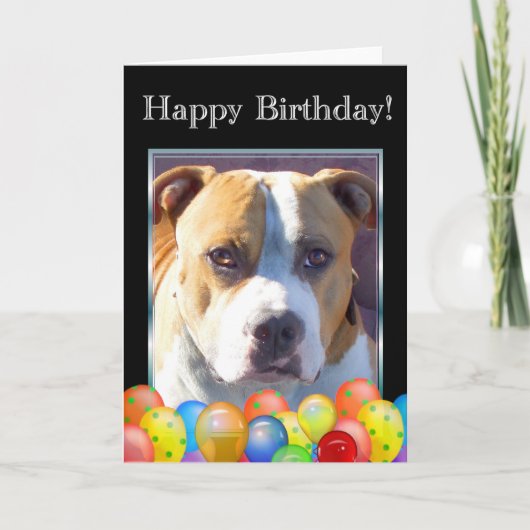 Happy Birthday pitbull dog wenskaart Kaart (Voorkant)