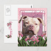 Happy Birthday - Pitbull - Jersey Girl Briefkaart (Voorkant / Achterkant)