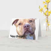 Happy Birthday Pitbull wenskaart Kaart (Gele Bloem)