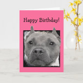 Happy Birthday Pitbull wenskaart Kaart (Gele Bloem)