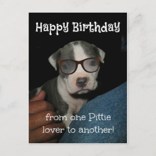 Happy Birthday Pittie Briefkaart