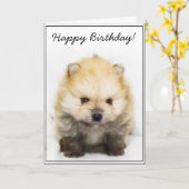 Happy Birthday Pomeranian puppy wenskaart Kaart (Gele Bloem)