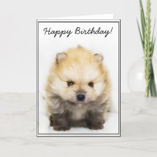 Happy Birthday Pomeranian puppy wenskaart Kaart