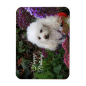 Happy Birthday poodle dog magnetische kaart Magneet (Verticaal)