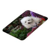 Happy Birthday poodle dog magnetische kaart Magneet (Linkerzijde)