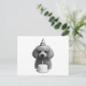 Happy Birthday Poodle Feestdagenkaart (Staand voorkant)