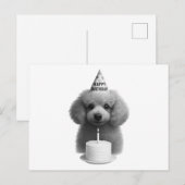 Happy Birthday Poodle Feestdagenkaart (Voorkant / Achterkant)