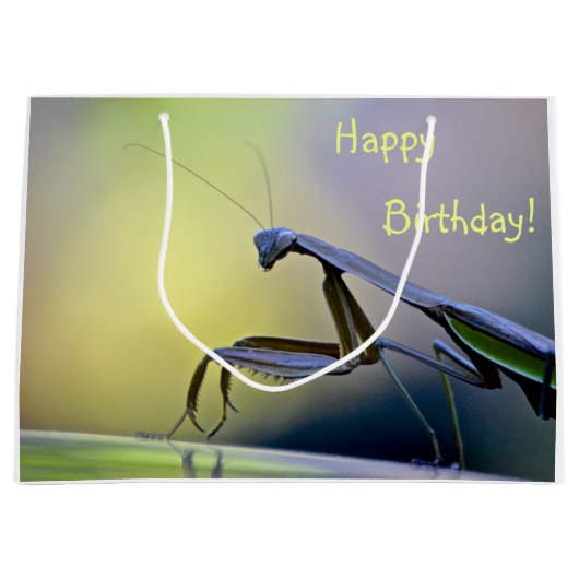 Happy Birthday Praying Mantis Groot Cadeauzakje (Voorkant)