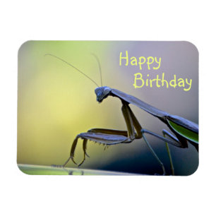 Happy Birthday Praying Mantis Magneet