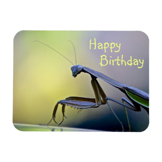 Happy Birthday Praying Mantis Magneet (Horizontaal)