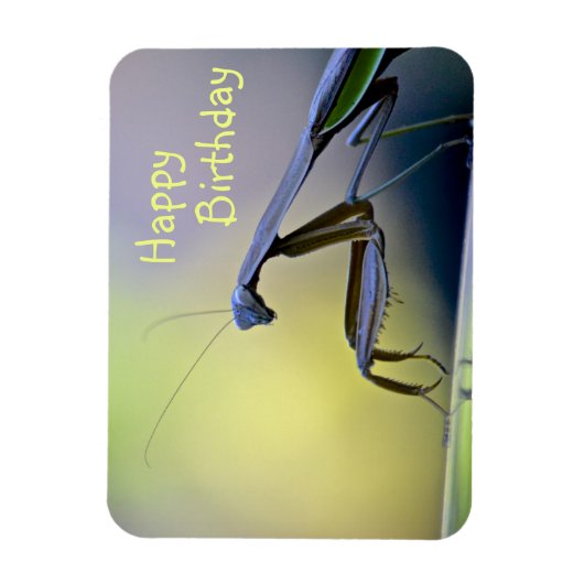 Happy Birthday Praying Mantis Magneet (Verticaal)