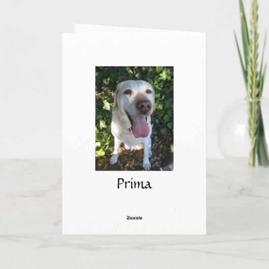 Happy Birthday Prima Kaart (Achterkant)