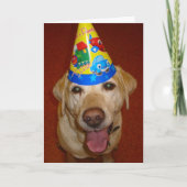 Happy Birthday Prima Kaart (Voorkant)