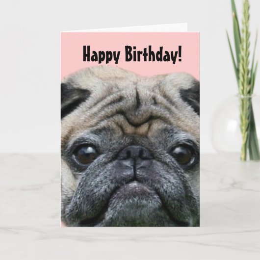 Happy Birthday Pug Dog wenskaart Kaart (Voorkant)