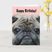 Happy Birthday Pug Dog wenskaart Kaart (Gele Bloem)