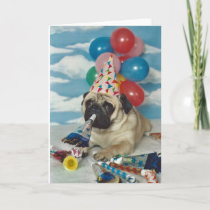 Happy Birthday Pug Kaart