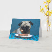 Happy Birthday Pug met Steak Candle - Kaart (Gele Bloem)