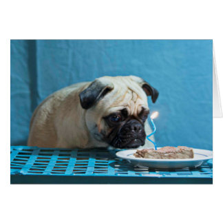 Happy Birthday Pug met Steak-kaartje - Kaart
