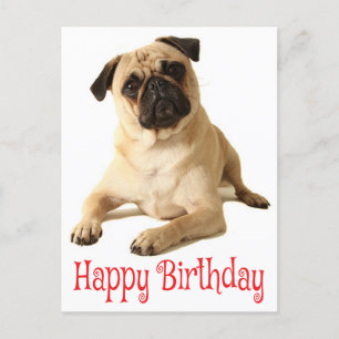 Happy Birthday Pug Puppy Dog Briefkaart