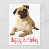 Happy Birthday Pug Puppy Dog Briefkaart (Voorkant)