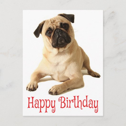 Happy Birthday Pug Puppy Dog Briefkaart (Voorkant)