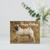 Happy Birthday Pug Puppy Dog Briefkaart (Staand voorkant)
