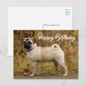 Happy Birthday Pug Puppy Dog Briefkaart (Voorkant / Achterkant)