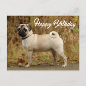 Happy Birthday Pug Puppy Dog Briefkaart (Voorkant)