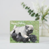 Happy Birthday Pug Puppy Dog Briefkaart (Staand voorkant)