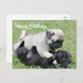 Happy Birthday Pug Puppy Dog Briefkaart (Voorkant / Achterkant)