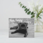 Happy Birthday Pug Puppy Dog Briefkaart (Staand voorkant)