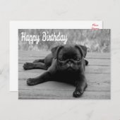 Happy Birthday Pug Puppy Dog Briefkaart (Voorkant / Achterkant)