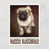 Happy Birthday Pug Puppy Dog Bruin Briefkaart (Voorkant)