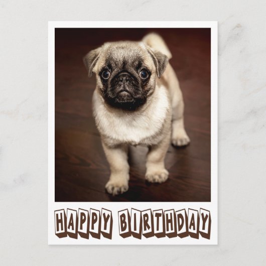 Happy Birthday Pug Puppy Dog Bruin Briefkaart (Voorkant)