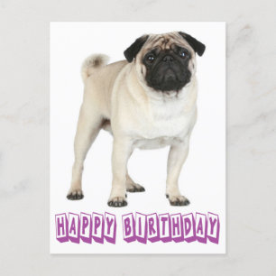Happy Birthday Pug Puppy Dog Paars Briefkaart