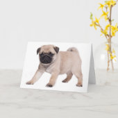 Happy Birthday Pug Puppy Dog - Verse Inside Kaart (Gele Bloem)