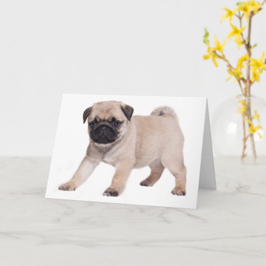 Happy Birthday Pug Puppy Dog - Verse Inside Kaart (Gele Bloem)