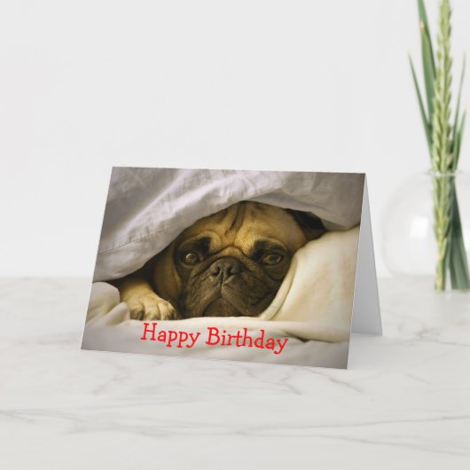 Happy Birthday Pug Puppy Dog Wenskaart Kaart (Voorkant)