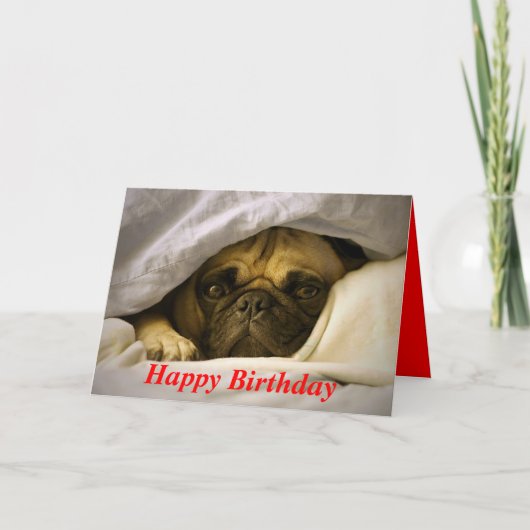 Happy Birthday Pug Puppy Dog Wenskaart Kaart (Voorkant)