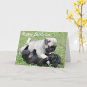Happy Birthday Pug Puppy Dog Wenskaart Kaart (Gele Bloem)