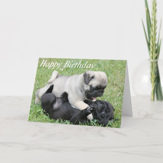 Happy Birthday Pug Puppy Dog Wenskaart Kaart (Voorkant)