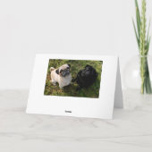 Happy Birthday Pug Puppy Dog Wenskaart Kaart (Achterkant)