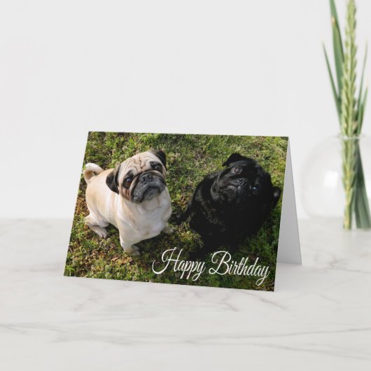 Happy Birthday Pug Puppy Dog Wenskaart Kaart (Voorkant)
