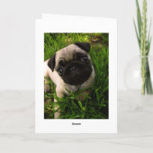 Happy Birthday Pug Puppy Dog Wenskaart Kaart (Achterkant)