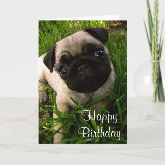 Happy Birthday Pug Puppy Dog Wenskaart Kaart (Voorkant)