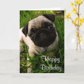 Happy Birthday Pug Puppy Dog Wenskaart Kaart (Gele Bloem)