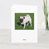 Happy Birthday Pug Puppy Dog Wenskaart Kaart (Achterkant)