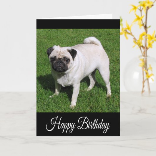 Happy Birthday Pug Puppy Dog Wenskaart Kaart (Gele Bloem)